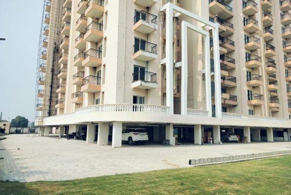 WhatsApp Image 2024-11-24 at 5.57.59 AM (1)